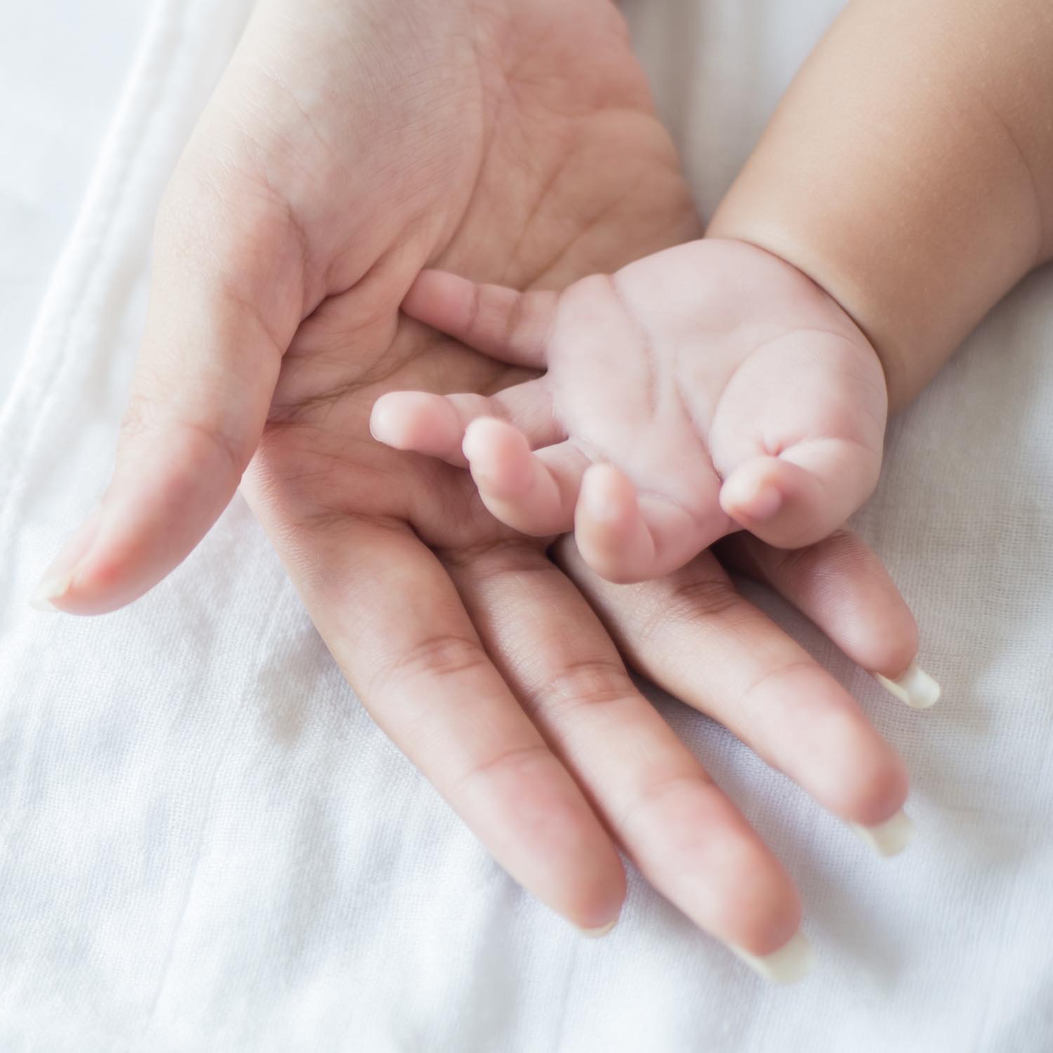 Produits bébés, Pharmacie de l'Hôtel de Ville, Aulnoye-Aymeries